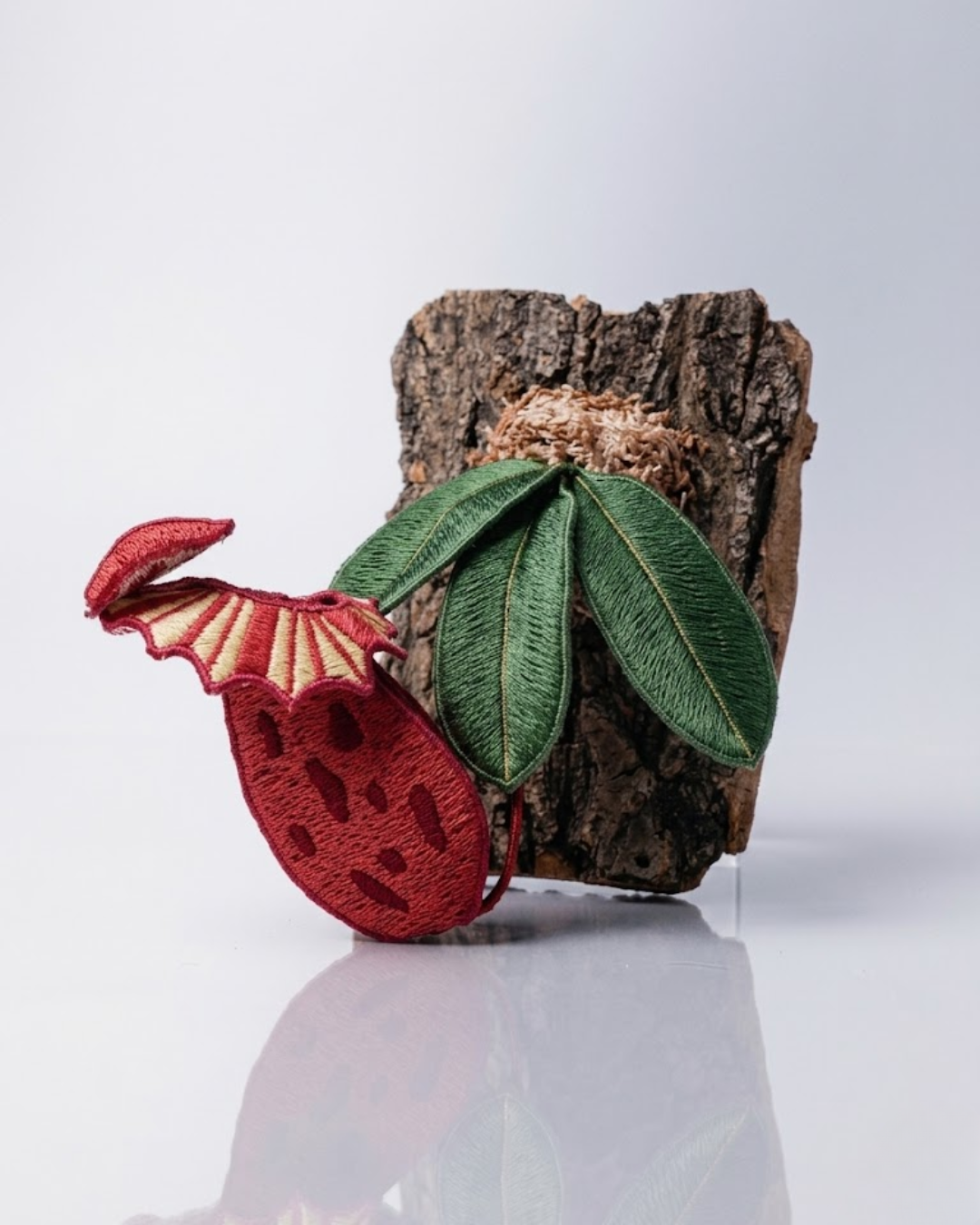 Pitcher Plant (Nepenthes)