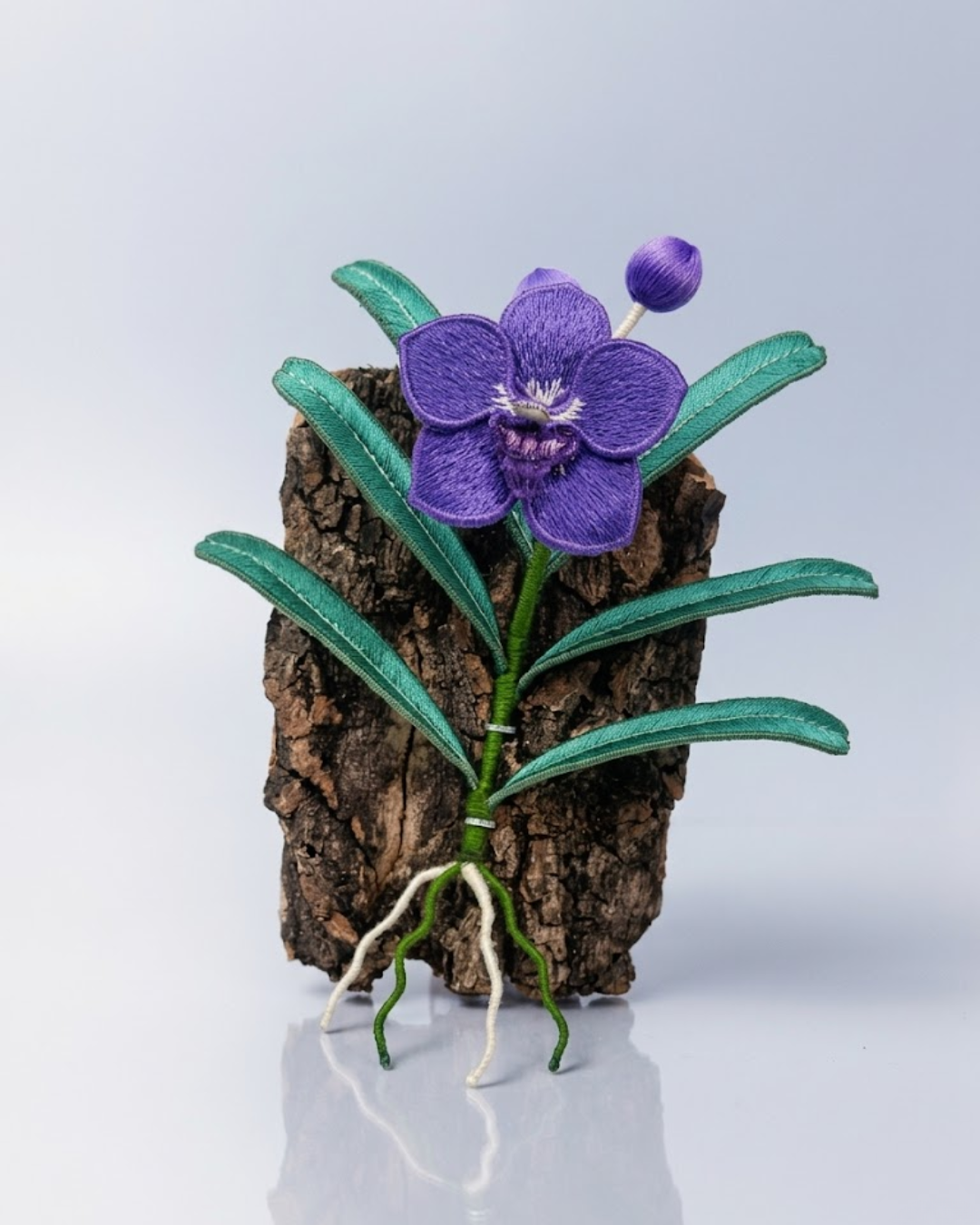 Vanda