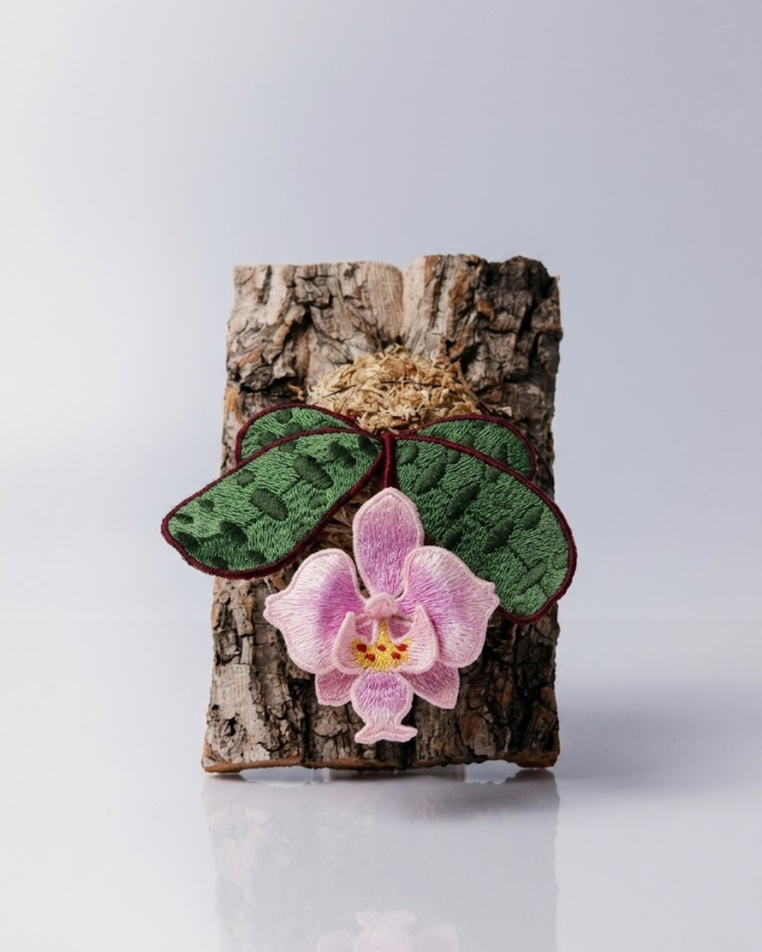 Phal. stuartiana
