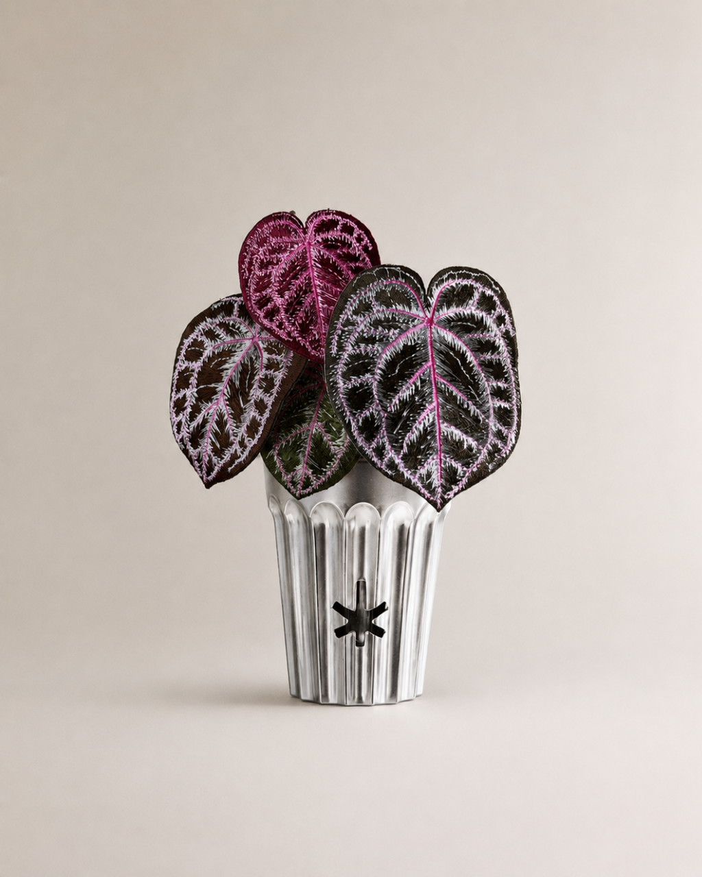 Angela red crystal anthurium-Cyberpunk