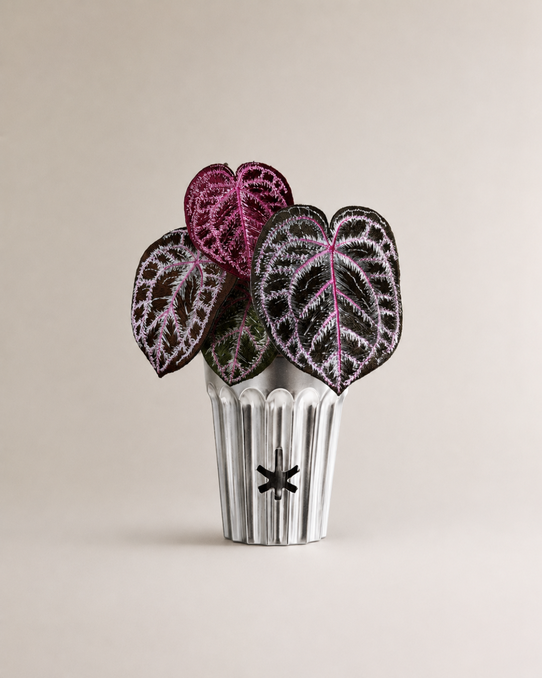 Angela red crystal anthurium-Cyberpunk