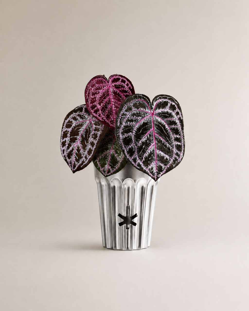 Angela red crystal anthurium