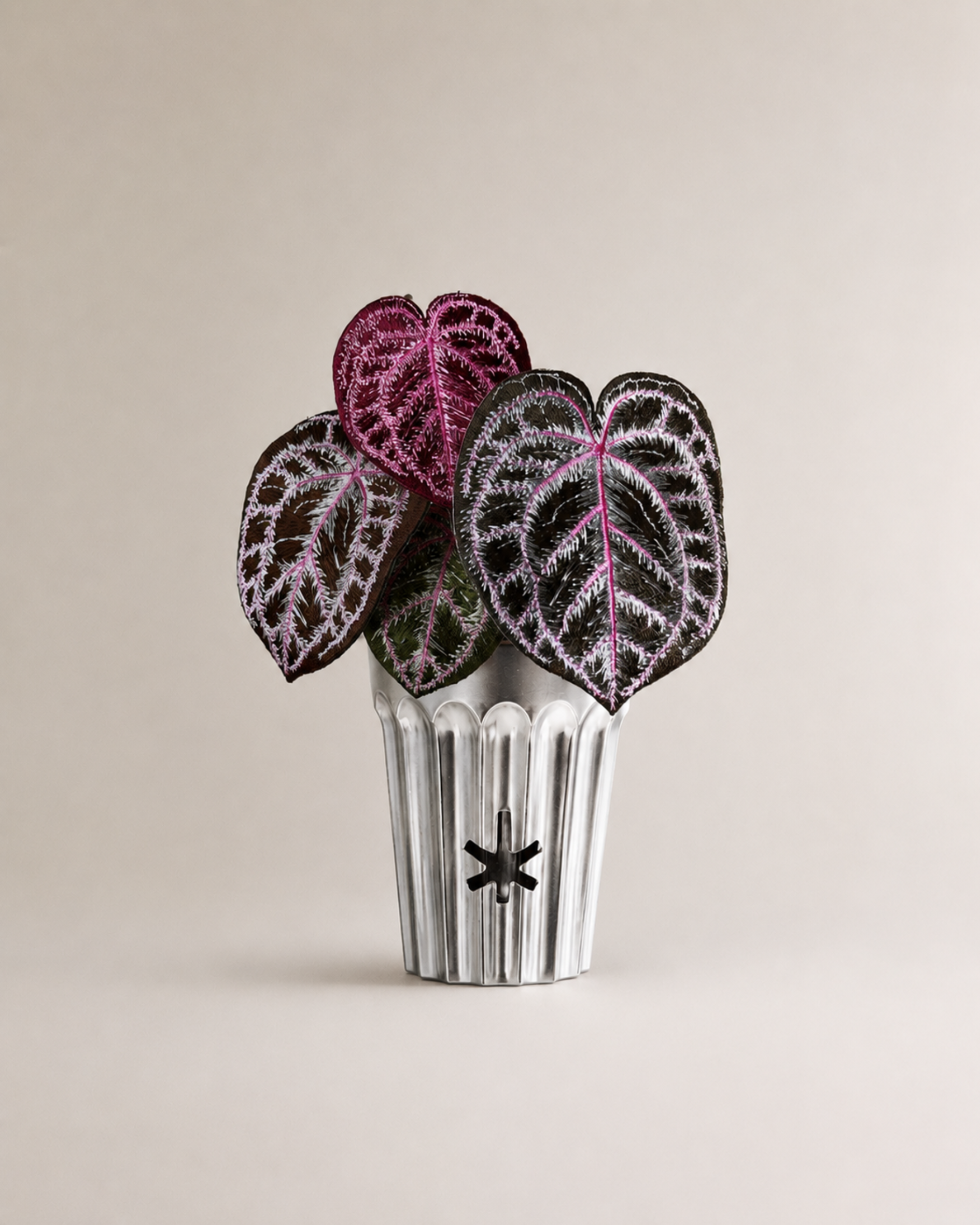Angela red crystal anthurium