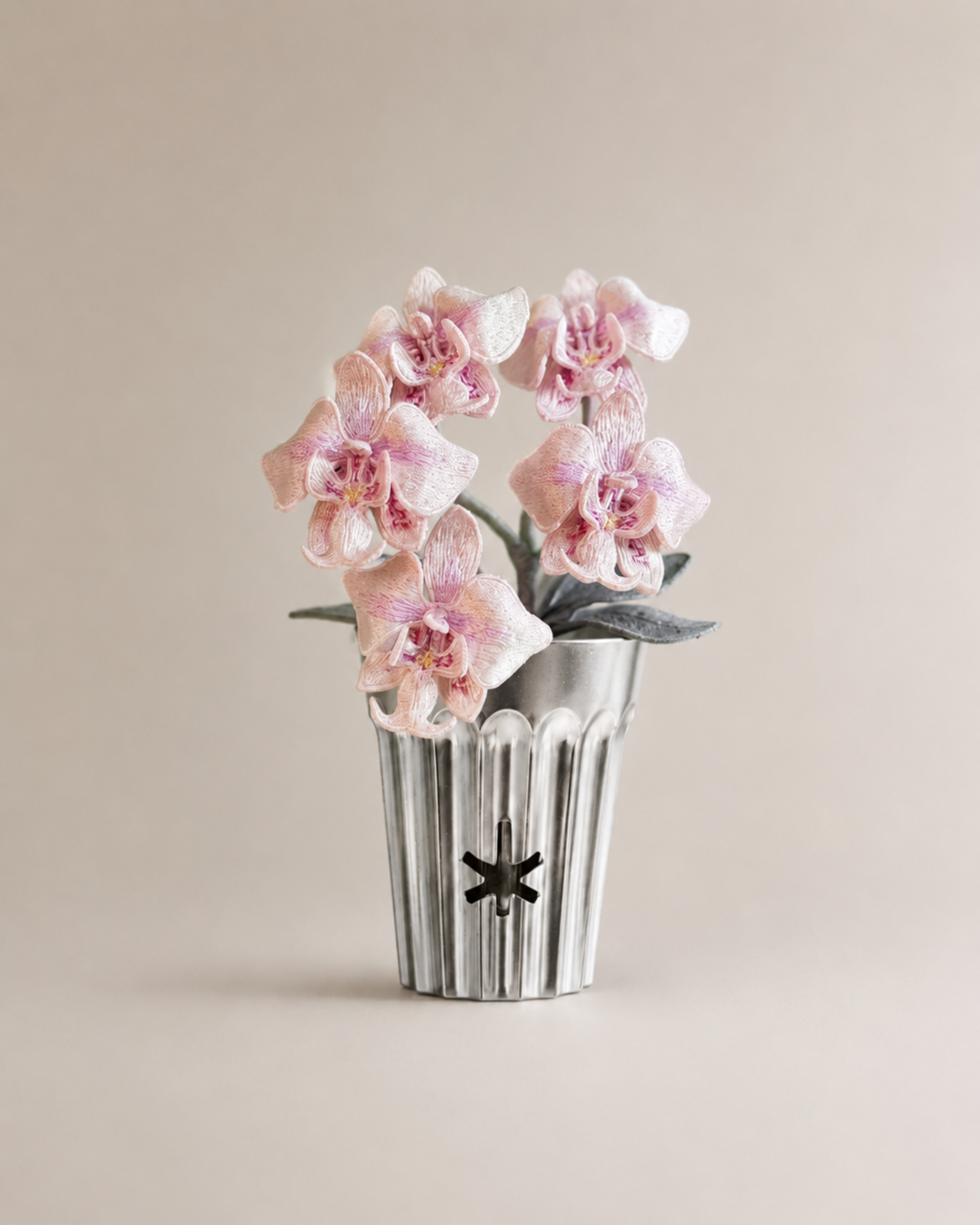 Phalaenopsis orchid