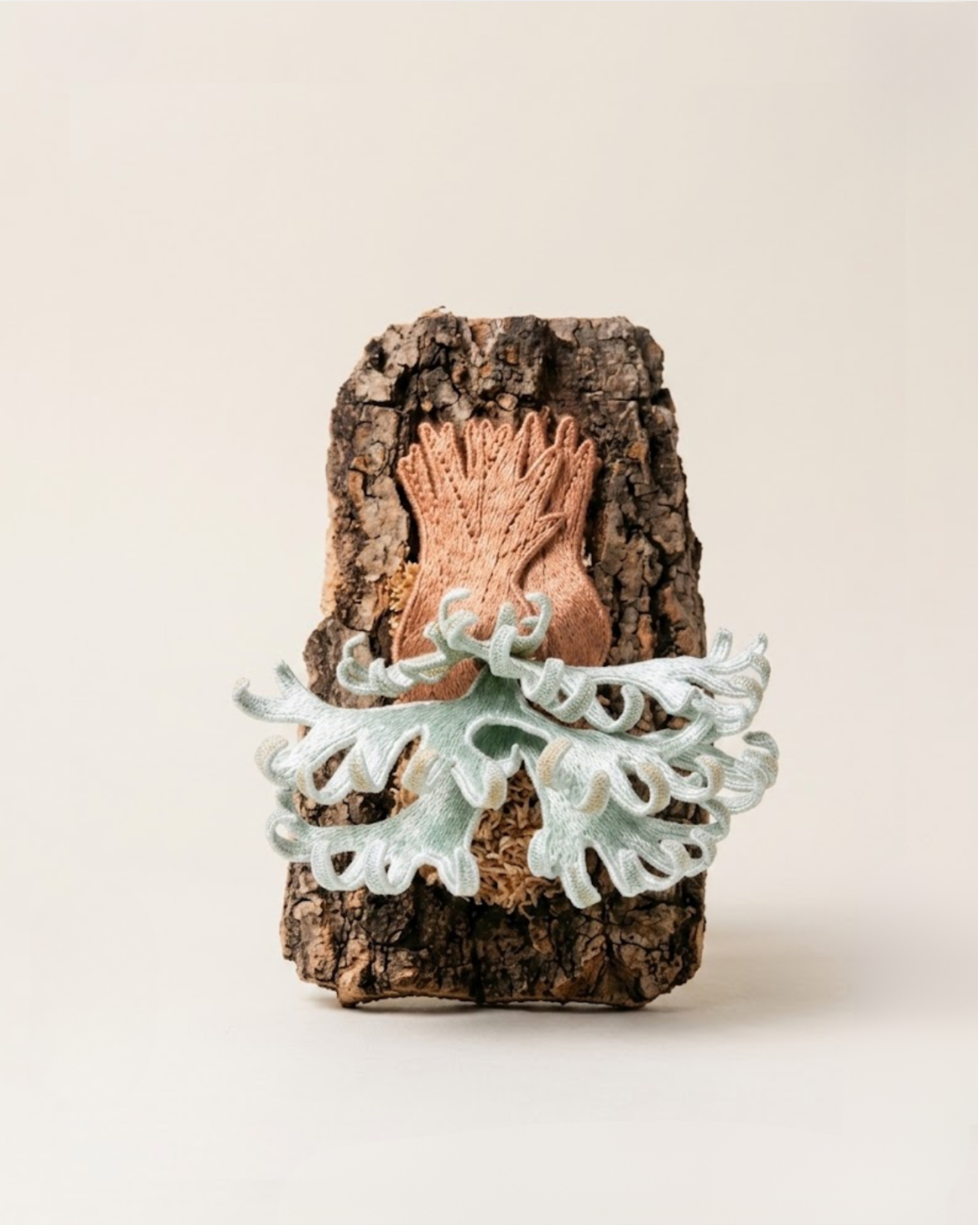 P.willinckii Kohaku