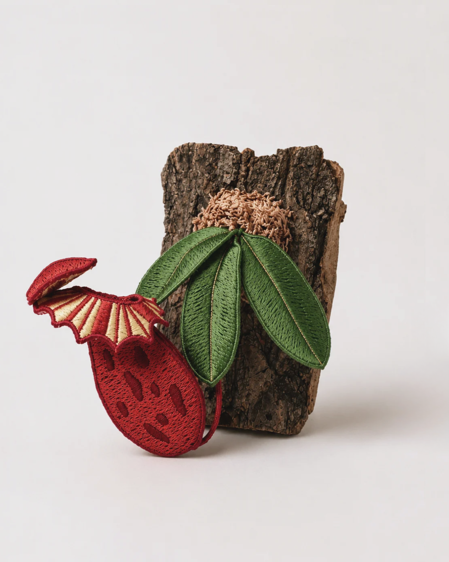 Pitcher Plant (Nepenthes)