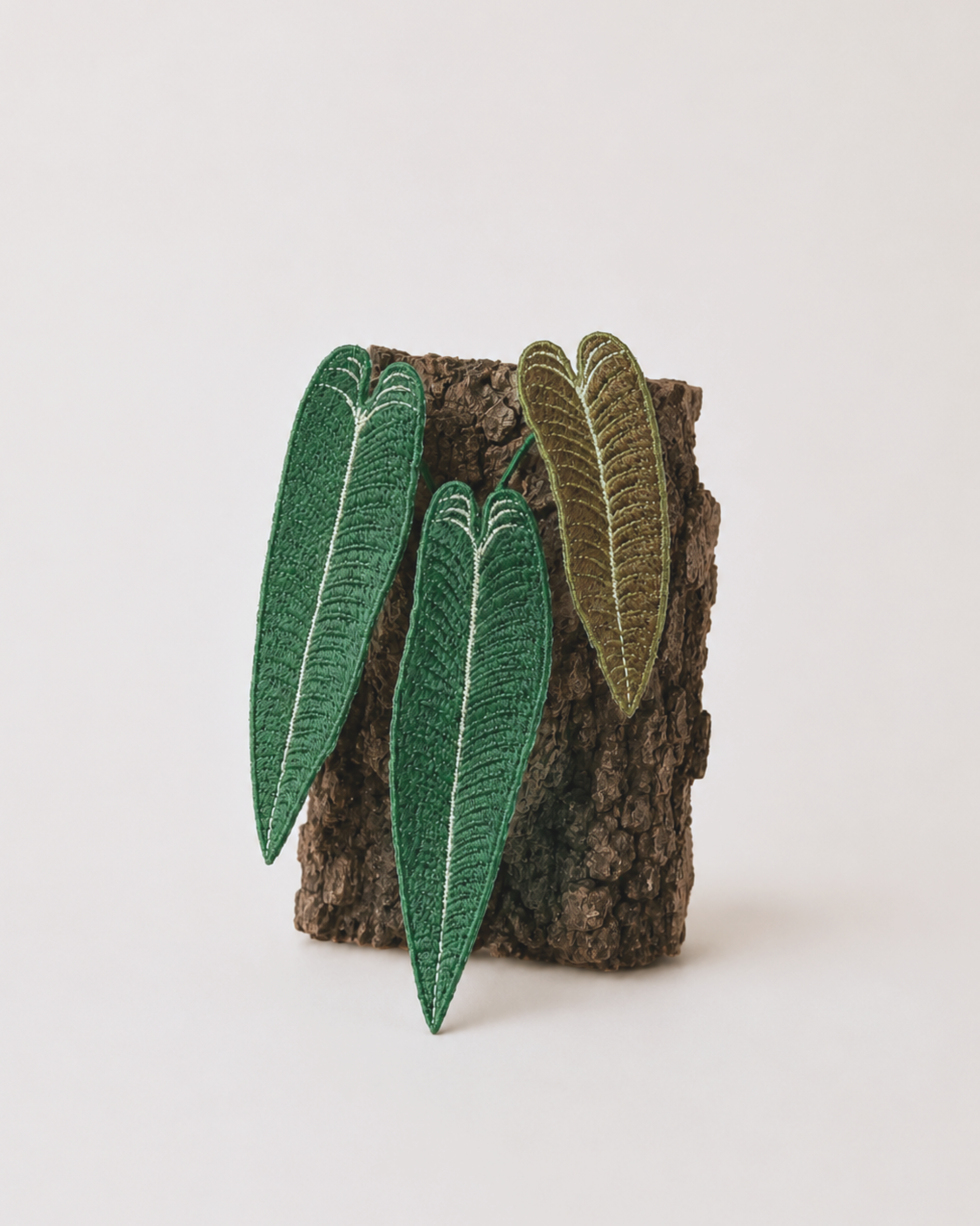 King Anthurium