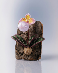 Paphiopedilum micranthum