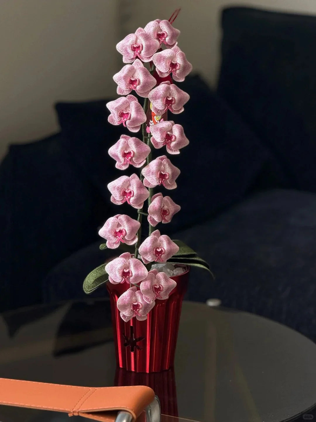 Orchid