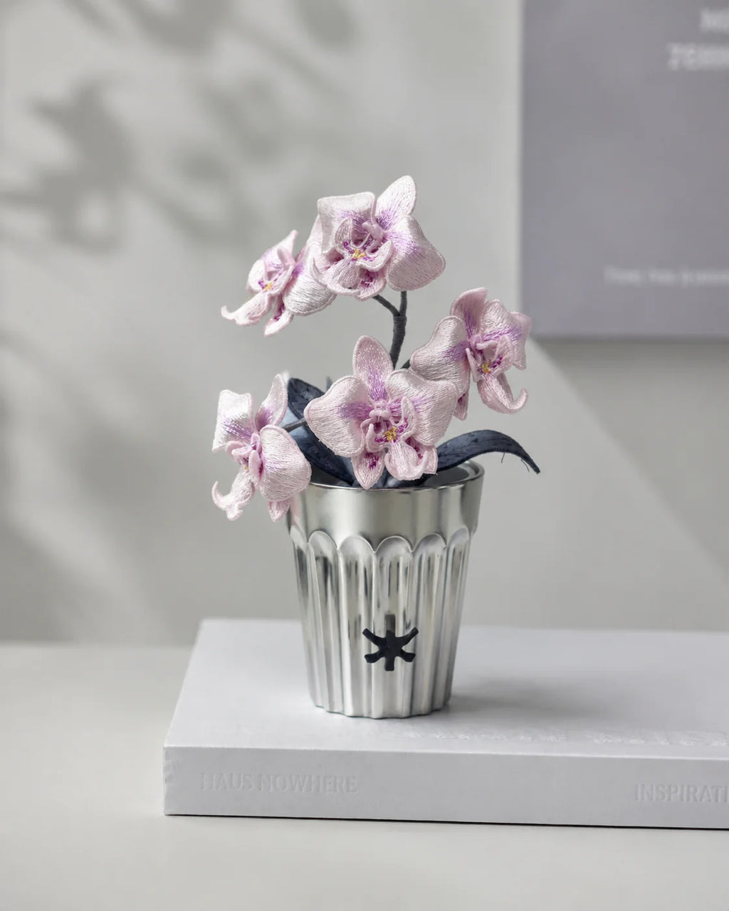 Phalaenopsis orchid