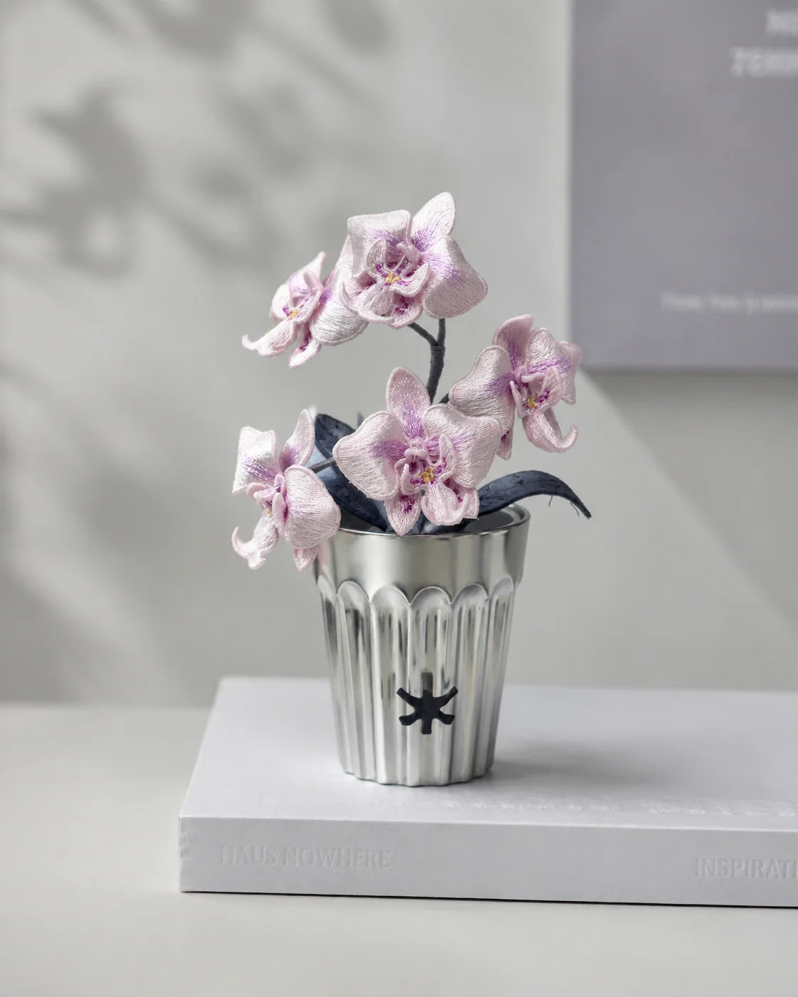 Phalaenopsis orchid